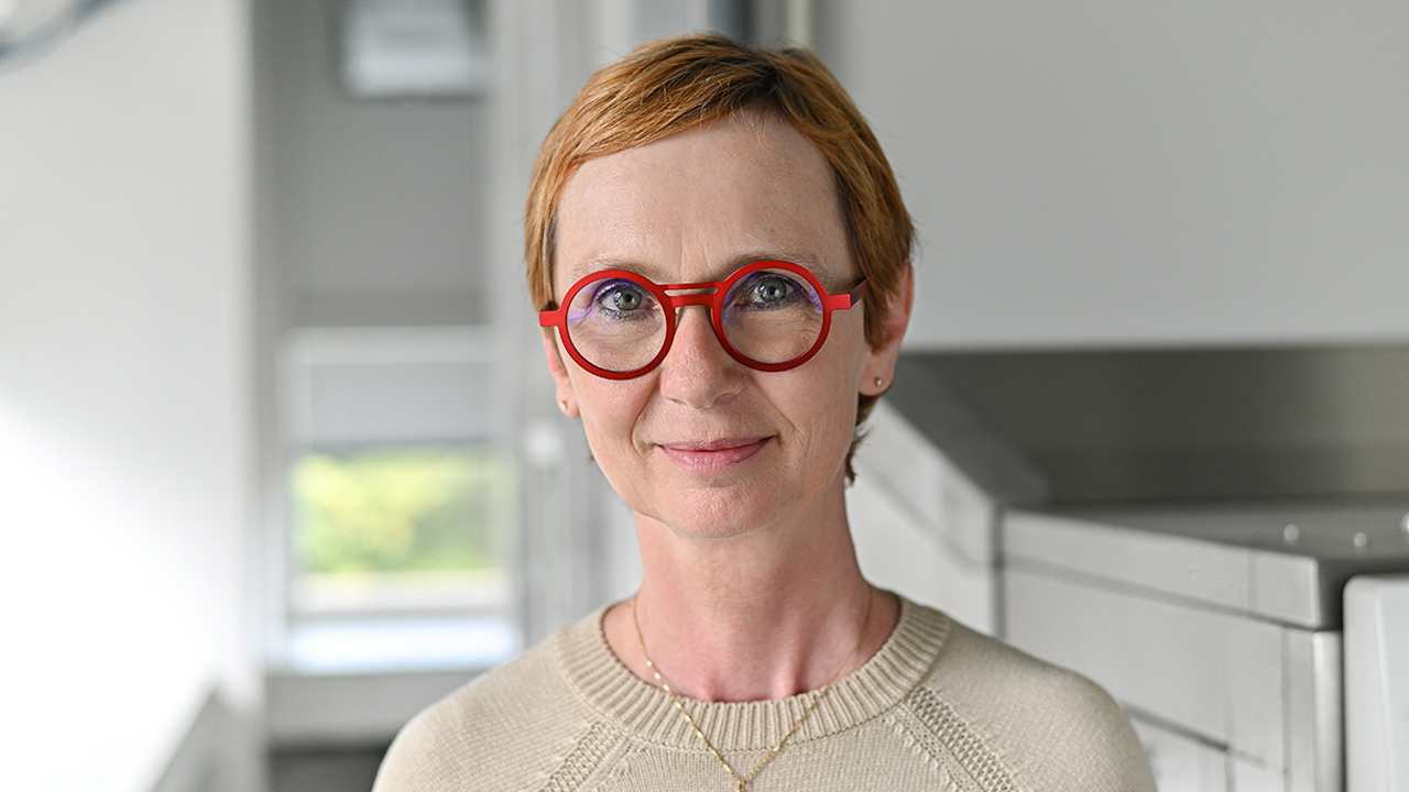 Katarína